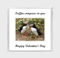 Puffin 21 Valentines Day 